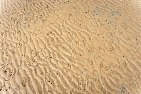 Rippled wavy beach sand texture bg with small crab burrows and holes Stock Photos