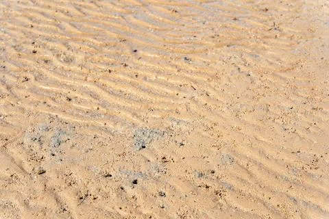 Rippled wavy beach sand texture bg with small crab burrows and holes Stock Photos
