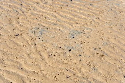Rippled wavy beach sand texture bg with small crab burrows and holes Stock Photos