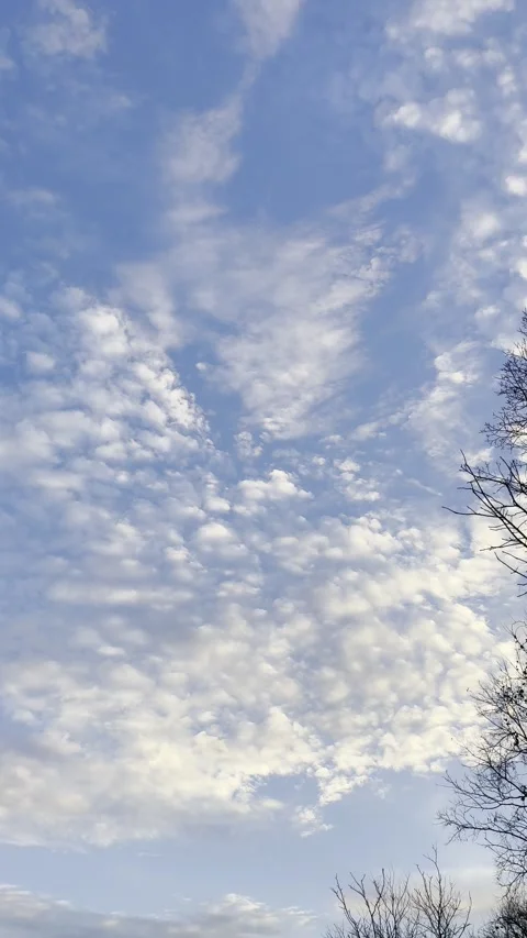 Rippled White Cloud Pattern Across Deep Blue Sky Video stock 344717348