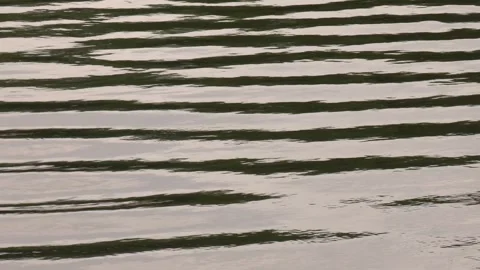 Ripples. Abstract background for wallpaper. Stock Footage 323618637