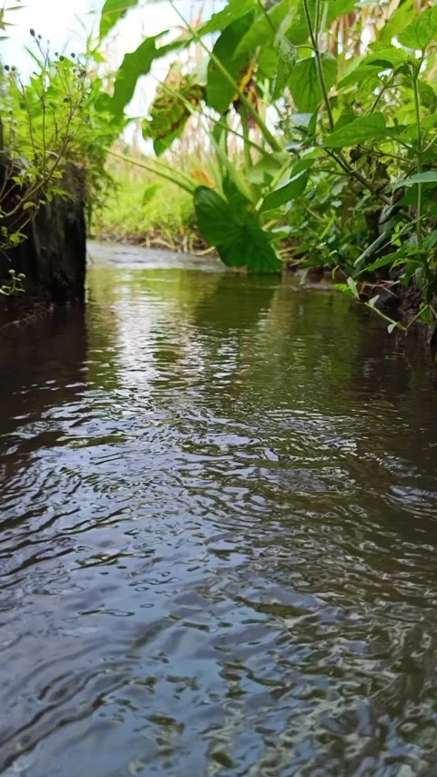 Ripples across calm, murky river waters Stock Footage 334765617