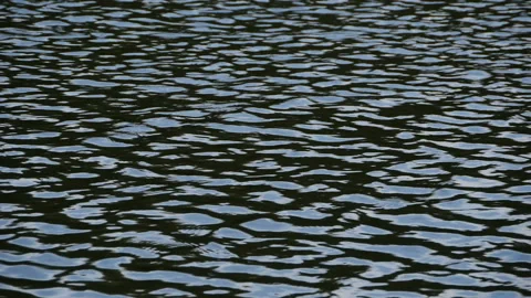 Ripples and glare abstract background Stock Footage 167098033