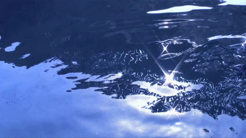 Ripples and Koi Video stock 327428601