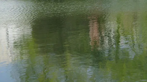 Ripples and reflection on the pond surface Stock Footage 22917088