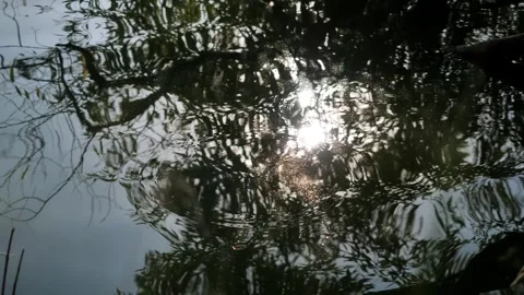 Ripples and sun glare on waves water background. River ripples. Stock Footage 284039187