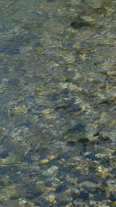 Ripples and Sunlight on Clear Shallow Stream Vertical Video Stock-Footage 346000910