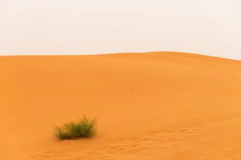 Ripples and textures of the sand dunes in Sahara Desert (Merzouga), Morocco Stock Photos