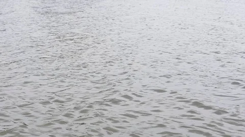 Ripples and waves from the wind on the river Stock Footage 105103533