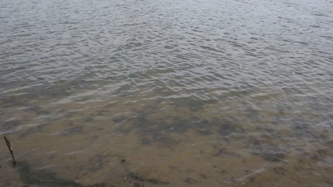 Ripples and waves from the wind on the river Stock Footage 105103534