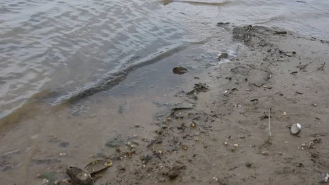 Ripples and waves from the wind on the river Stock Footage 105103586