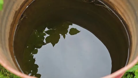 Ripples appear on the water surface as leaves are reflected in a container Stockbeeldmateriaal 344669871