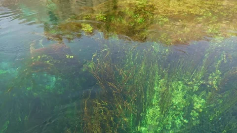 Ripples in beautiful crystal clear river Stock Footage 129705431