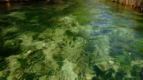 Ripples in beautiful river Stock Footage 129703874