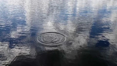 Ripples on the blue surface of the water from the fall of a stone. View of the Vidéo 212909054