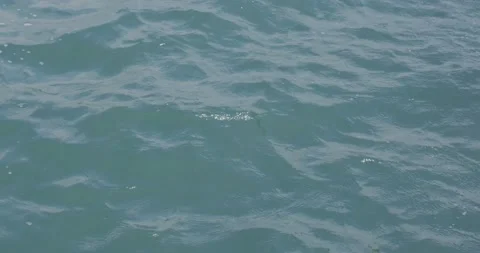 Ripples on blue water surface Stock Footage 210075503