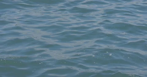 Ripples on blue water surface Stock Footage 210075518