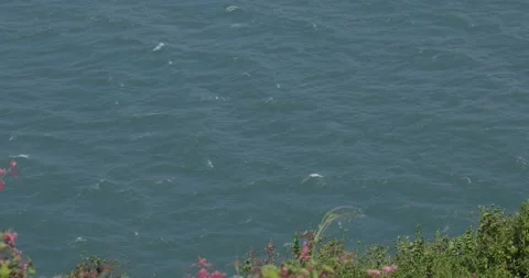 Ripples on blue water surface Stock Footage 210075611