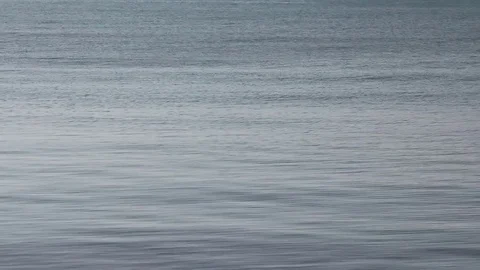 The ripples in the calm water Stock Footage 83771407