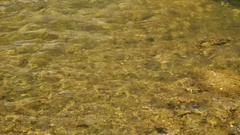 Ripples of a clear and shallow mountain river Stock Footage 321811040