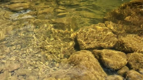 Ripples of a clear and shallow mountain river Stock Footage 321811067