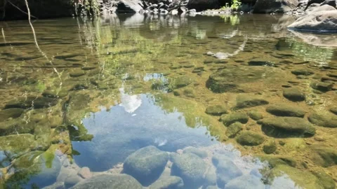 The ripples of a clear and shallow river in a tropical forest Video stock 321324318