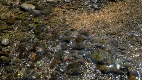 Ripples of clear river water and rocky Stock-Footage 297631387
