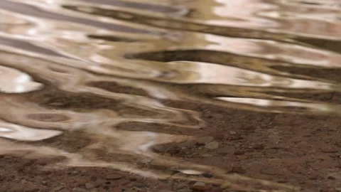 Ripples close Stock Footage 308490470