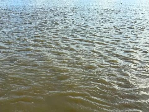 Ripples create subtle patterns across the expansive water surface on a bright Foto stock