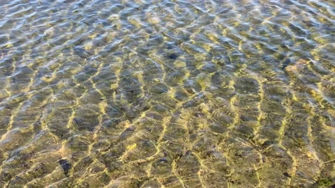 Ripples on crystal clear water surface of lake. Transparent water, sun glares Stock Footage 193418152