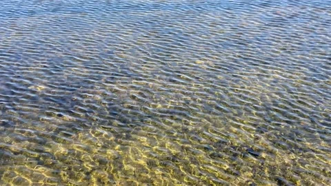 Ripples on crystal clear water surface of lake. Transparent water, sun glares Stock Footage 193418164