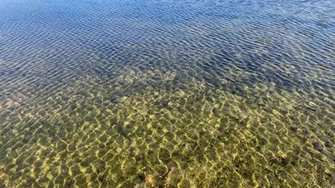 Ripples on crystal clear water surface of lake. Transparent water, sun glares Stock Footage 193418176