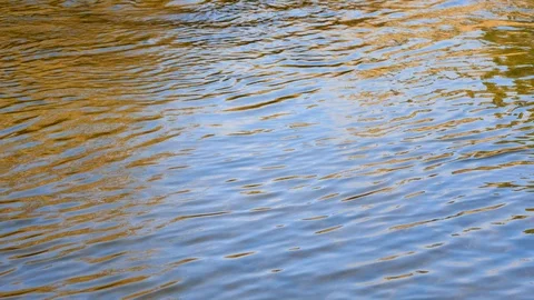 Ripples of flowing river water Stock Footage 128259797