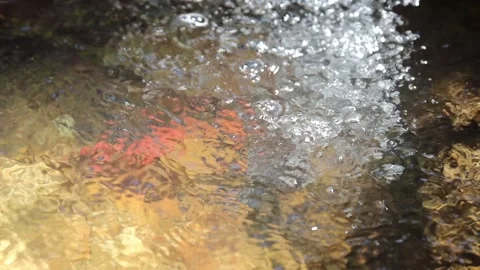 Ripples Stock Footage 302895540