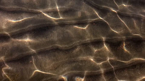 Ripples on Lake Bottom 스톡 동영상 88816942