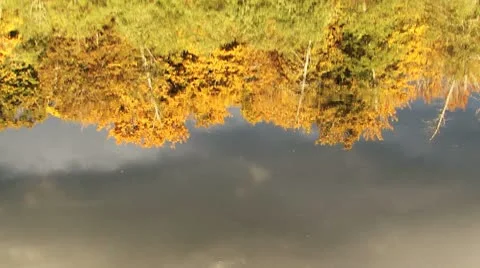 Ripples on the lake Stock Footage 8918115