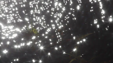 Ripples on a lake Stock Footage 39346678