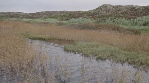 Ripples in a lake Stock Footage 97383893