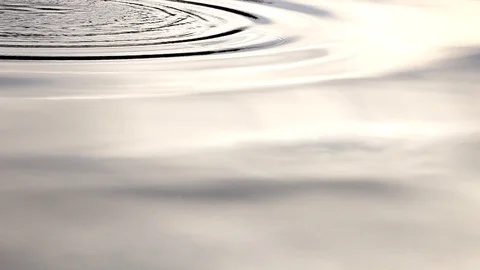 Ripples in a lake Stock Footage 103854115