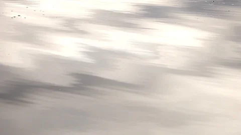 Ripples in a lake Stock Footage 103854448