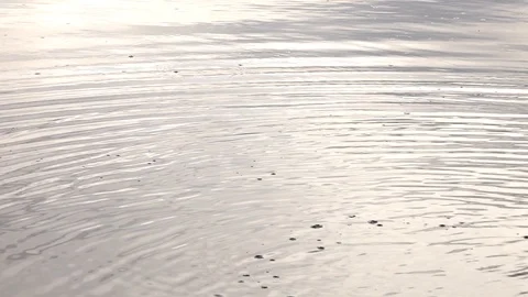 Ripples in a lake Stock Footage 103854871