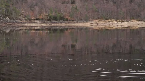 Ripples in a lake Stock Footage 103855108