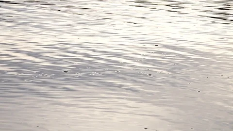 Ripples in a lake Stock Footage 103855444