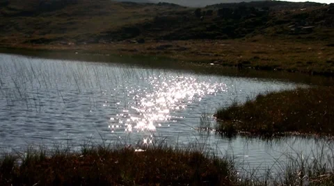 Ripples on a lake, loop Stock Footage 8512003