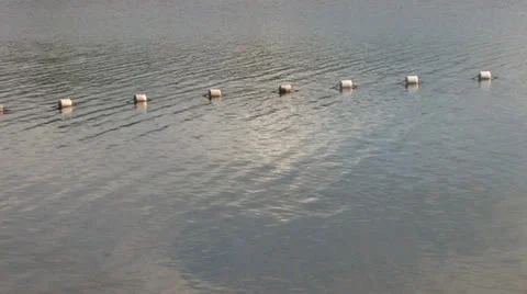 Ripples on lake surface Stock Footage 25425490