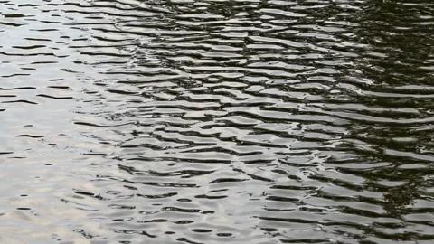 Ripples in the lake water Stock Footage 280198545