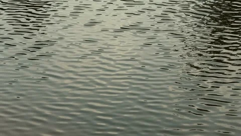 Ripples in the lake water Video stock 280198546