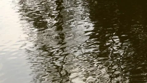 Ripples in the lake water Stock Footage 280198547