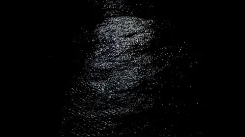 Ripples of light on black water Stock Footage 77862582
