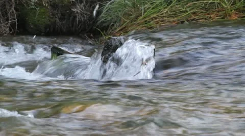Ripples on mountain stream Stock Footage 12346127